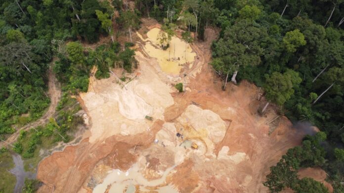 New study reveals toxic metals in crops and fish due to Galamsey activities