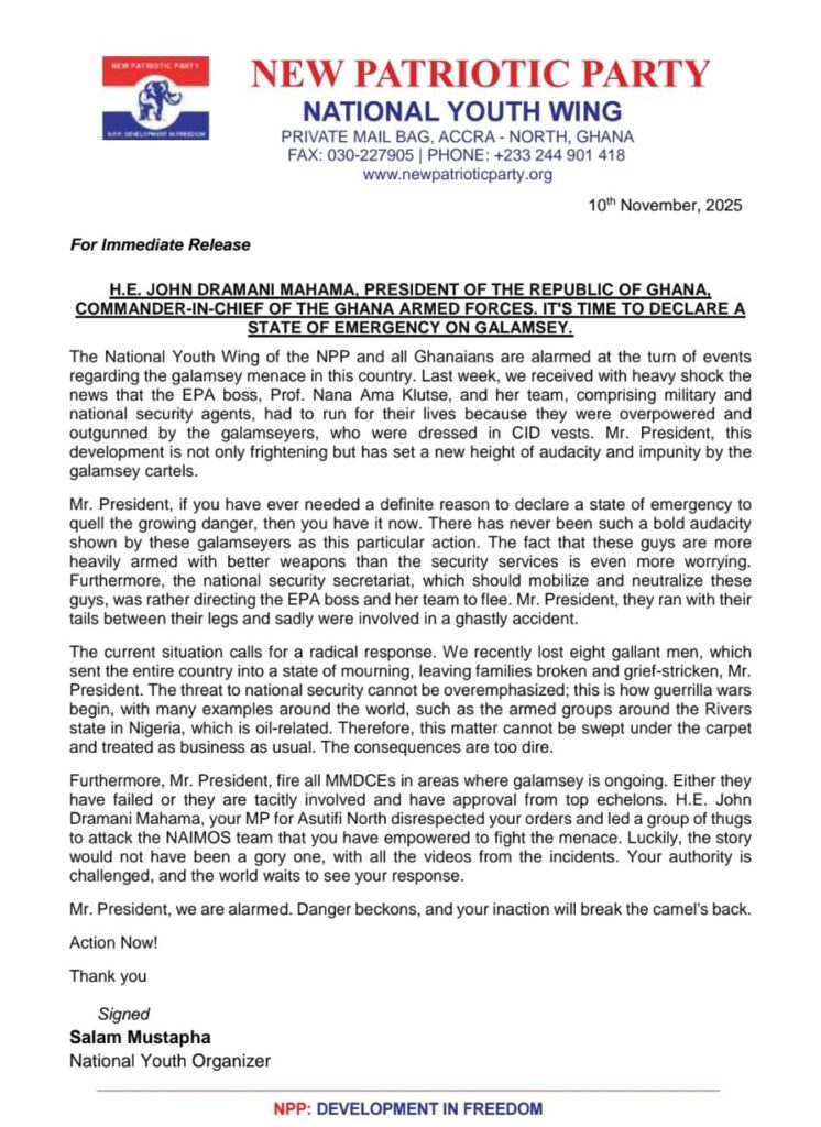 "Declare State of Emergency on Galamsey": NPP Youth Wing Urges President Mahama