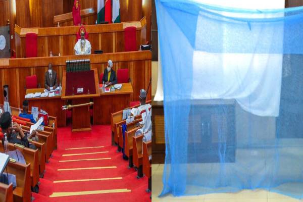 Senate rejects Health Ministry’s request to borrow $82bn to purchase mosquito nets Senate rejects Health Ministry’s request to borrow $82bn to purchase mosquito nets